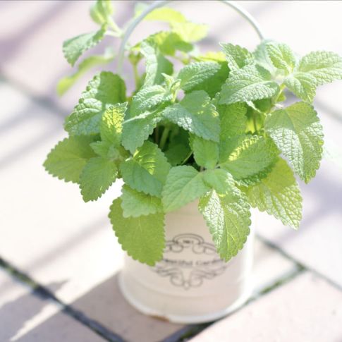 有益な話はできませんが