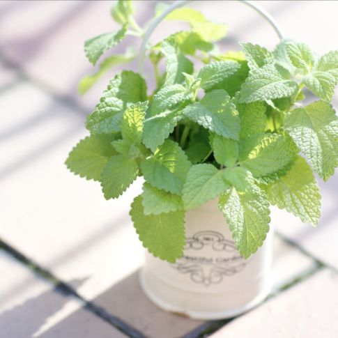 のれんをめくって、ドアをちょっと開けただけなのに