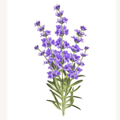 今年買ってよかったもの２つ