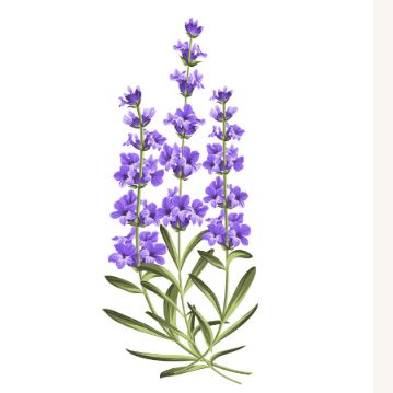 収録しかしない配信者が聴いてもらえるチャンス