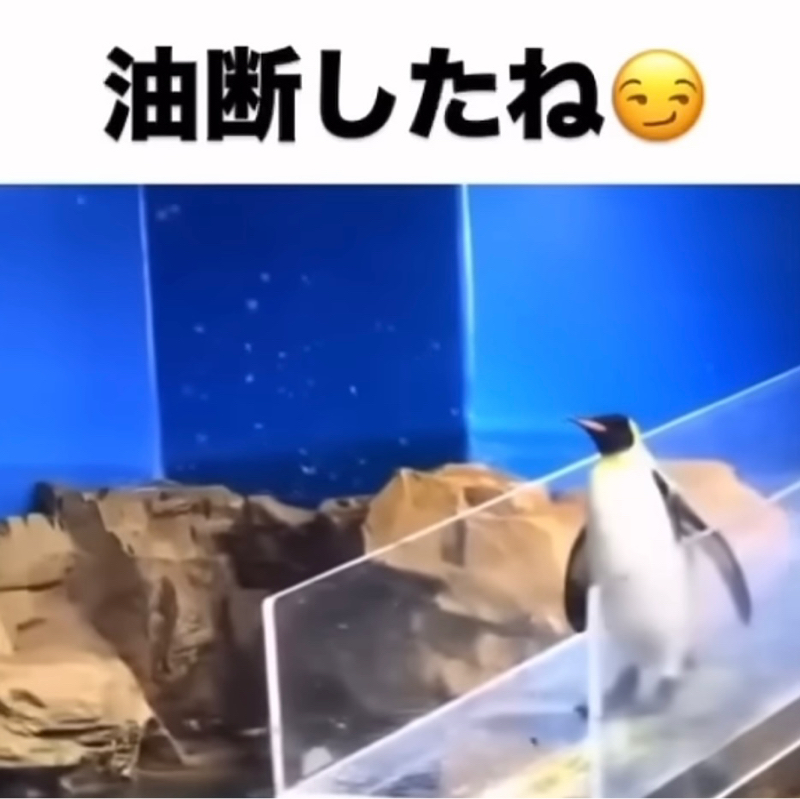 #12 最近笑った出来事5選