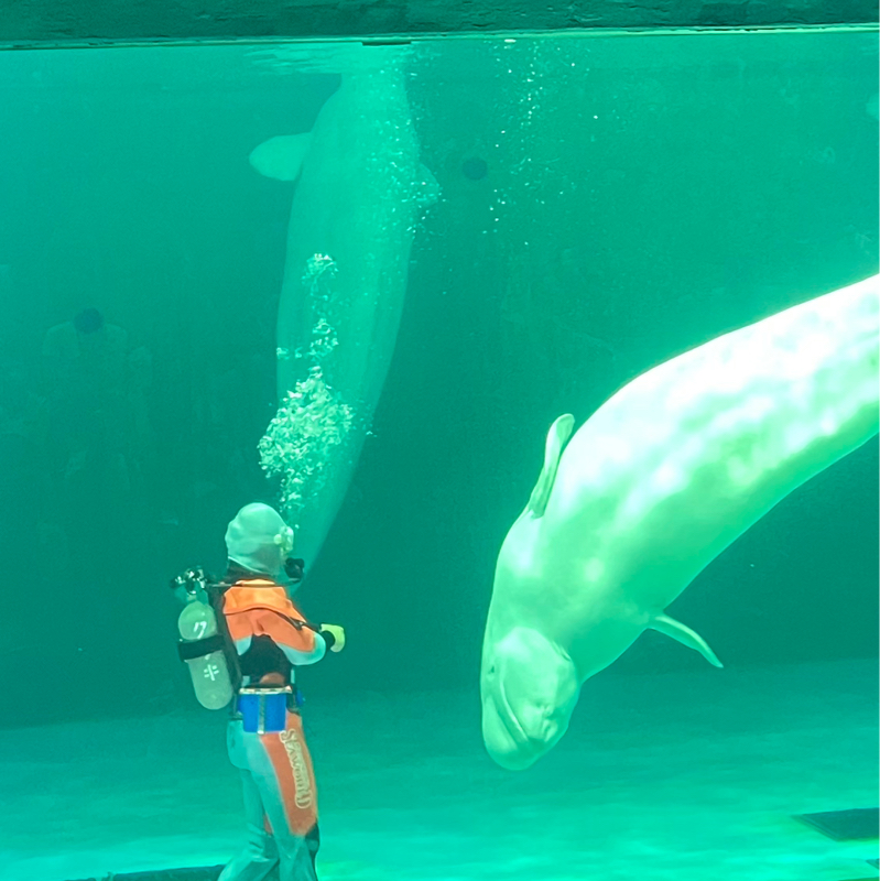 週7働くとおかしくなる