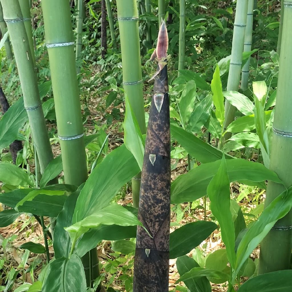 日常を生きてるって事1＊＊