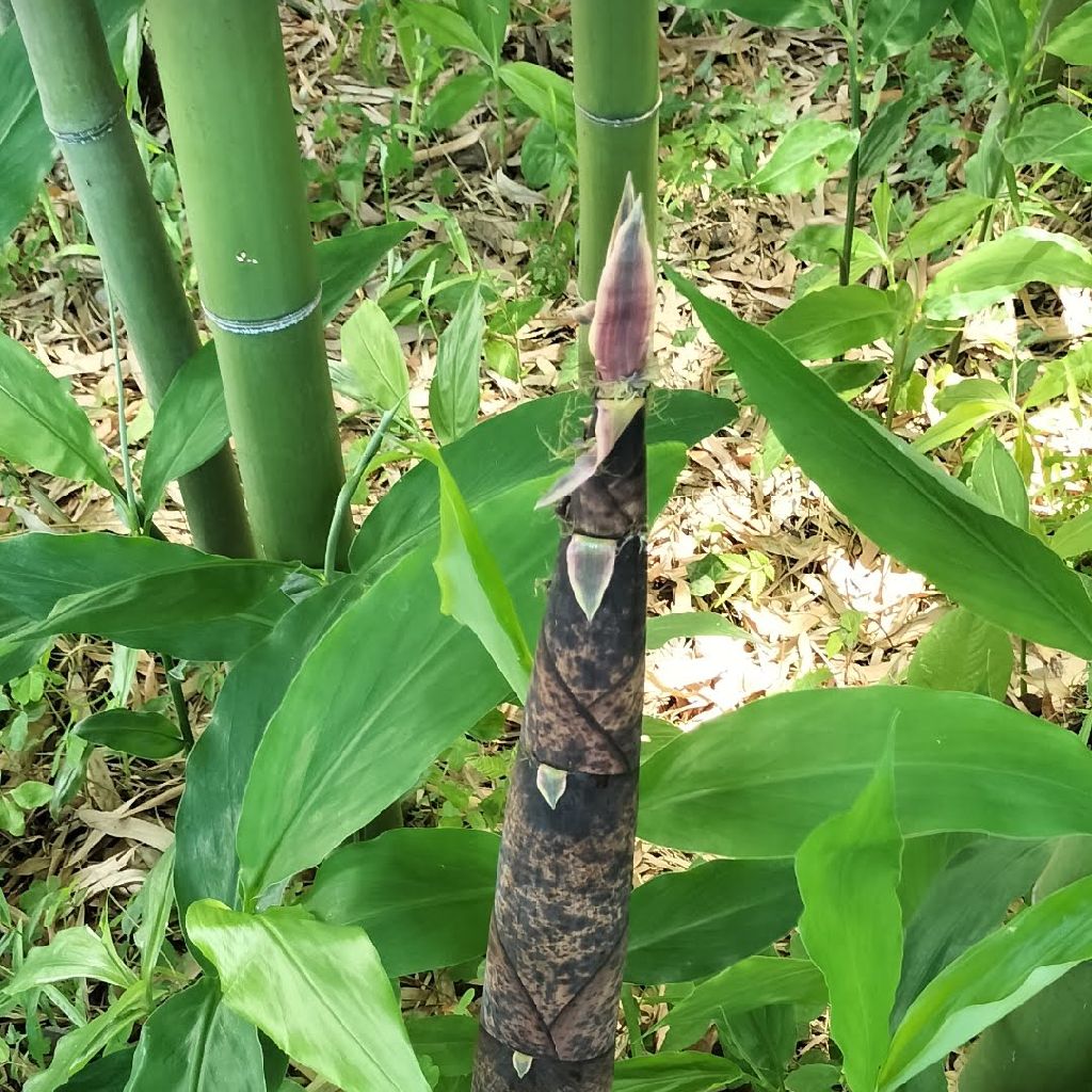 日常を生きてるって2