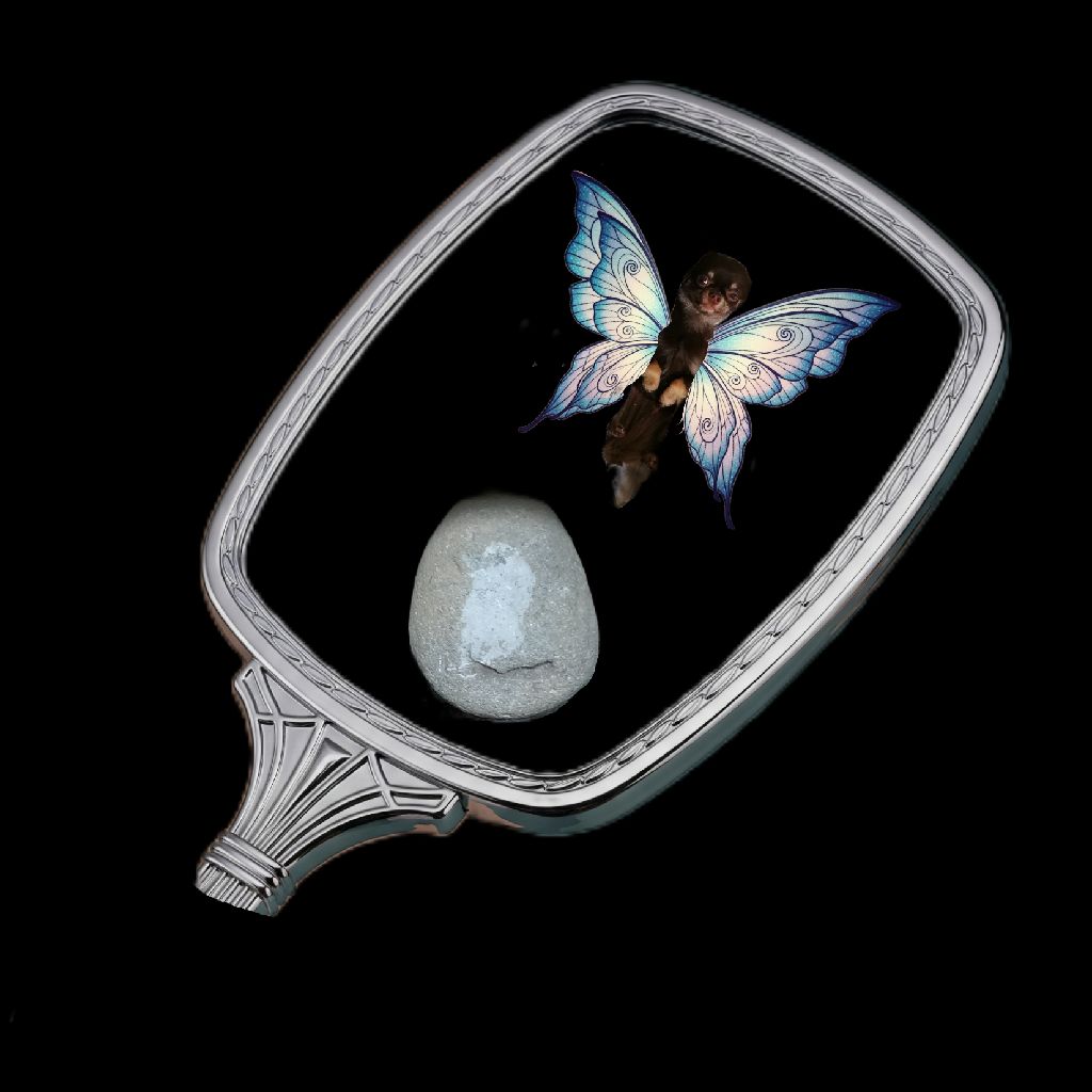 2025年4月を振り返る・転職