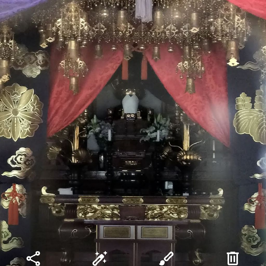 2025年11月を振り返る・紅葉