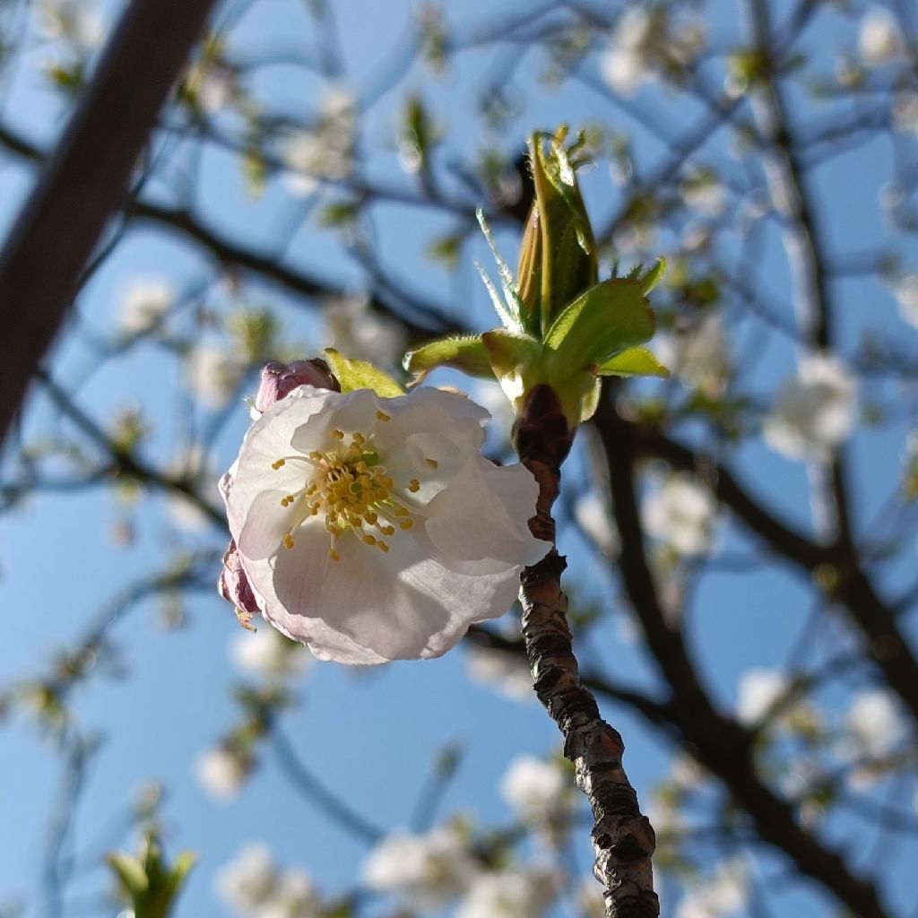 自分との約束!!