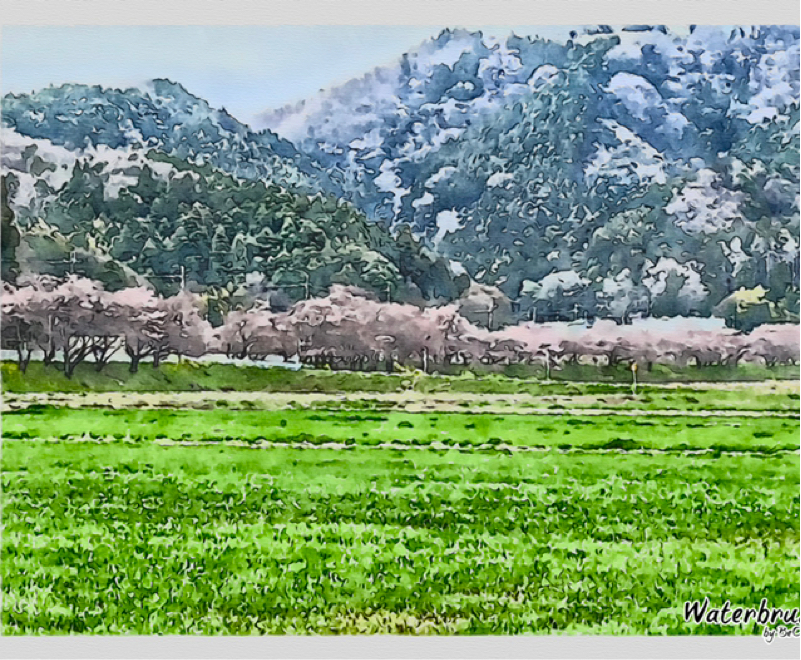 PCの前からお届けしています〜春いまだ