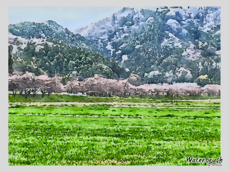 PCの前からお届けいしています　7   〜助詞の「に」と「へ」