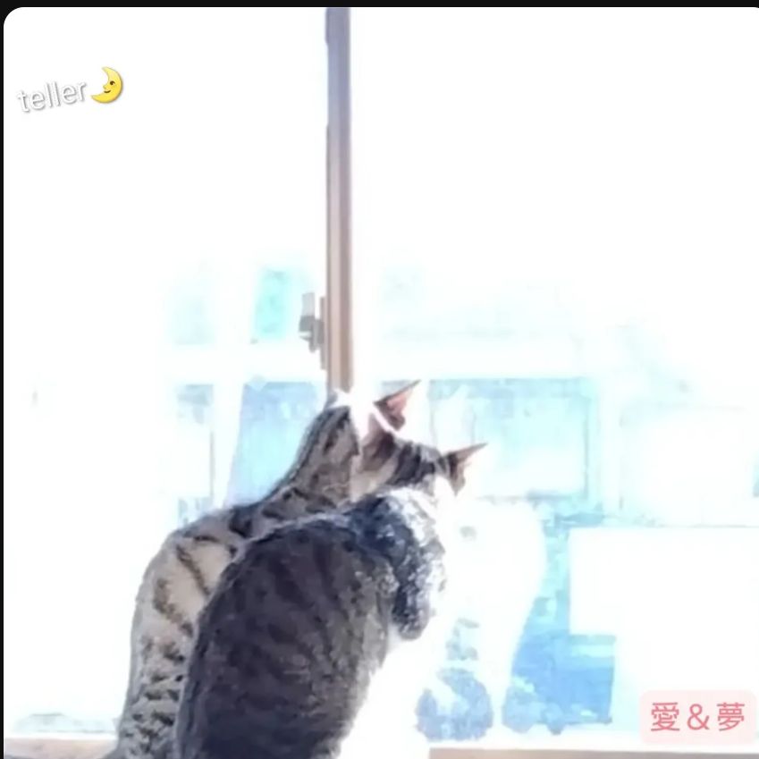 *ﾃﾗｰ’s space*