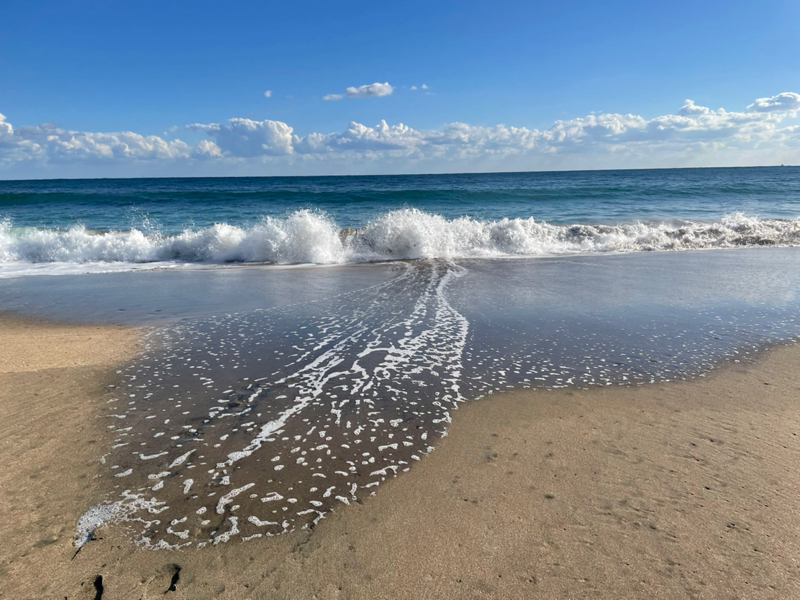 はじめましてミロ子です