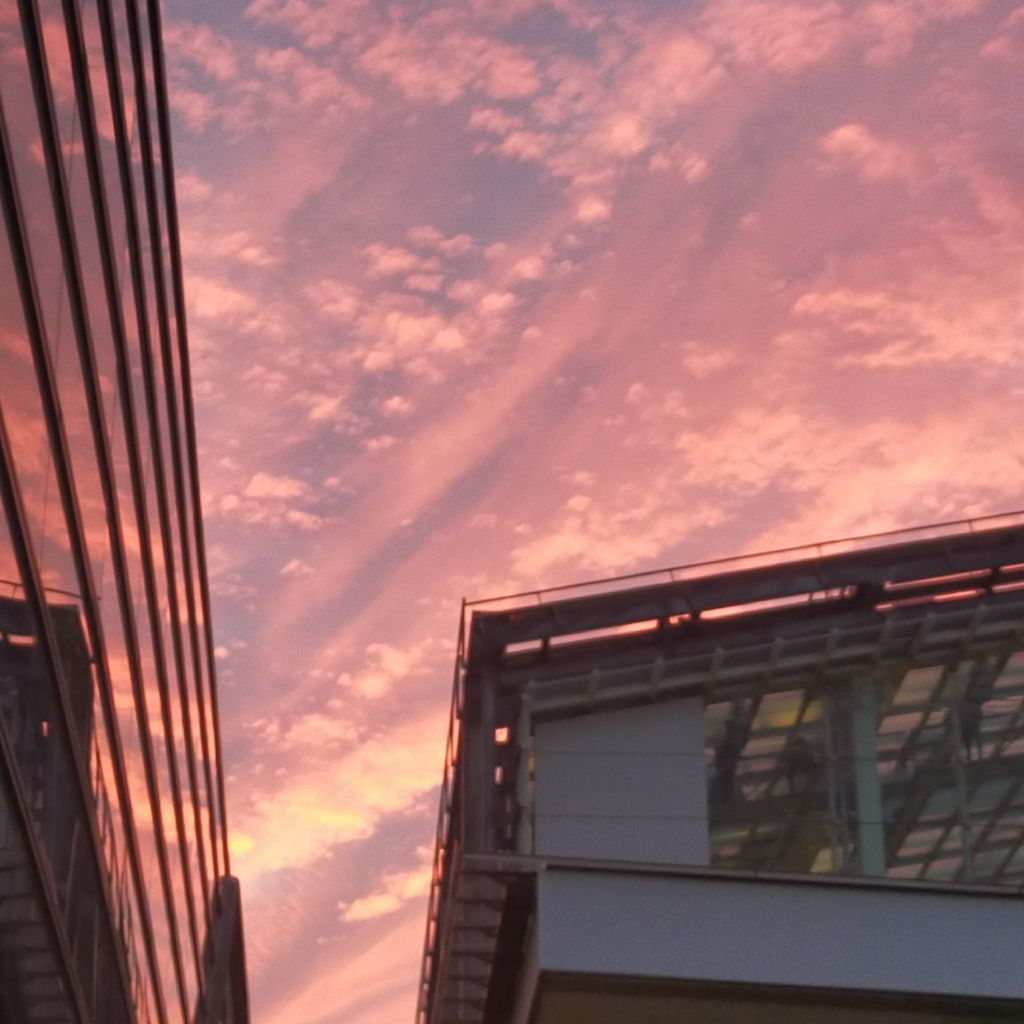 太陽☀ひまわり🌻George(ジョージ)🌻🕺の番組