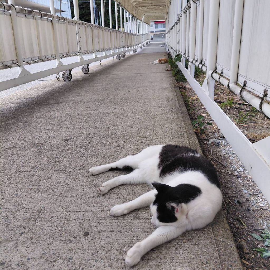 社会人芸人ﾗｼﾞｵAFTER5 火曜日