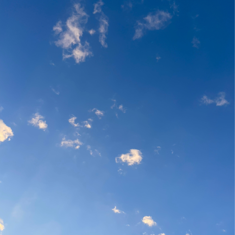 #09 欲のままに生きたいっていう話。