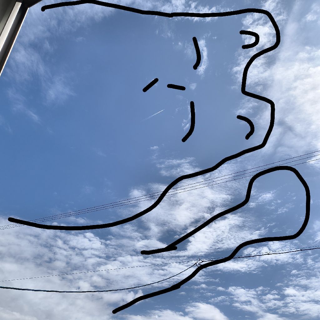 おこなさんだよ