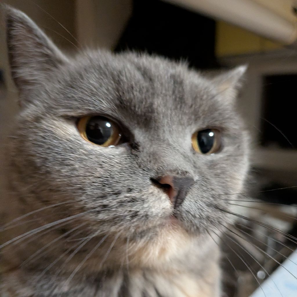 セルなゆず🐱 #3