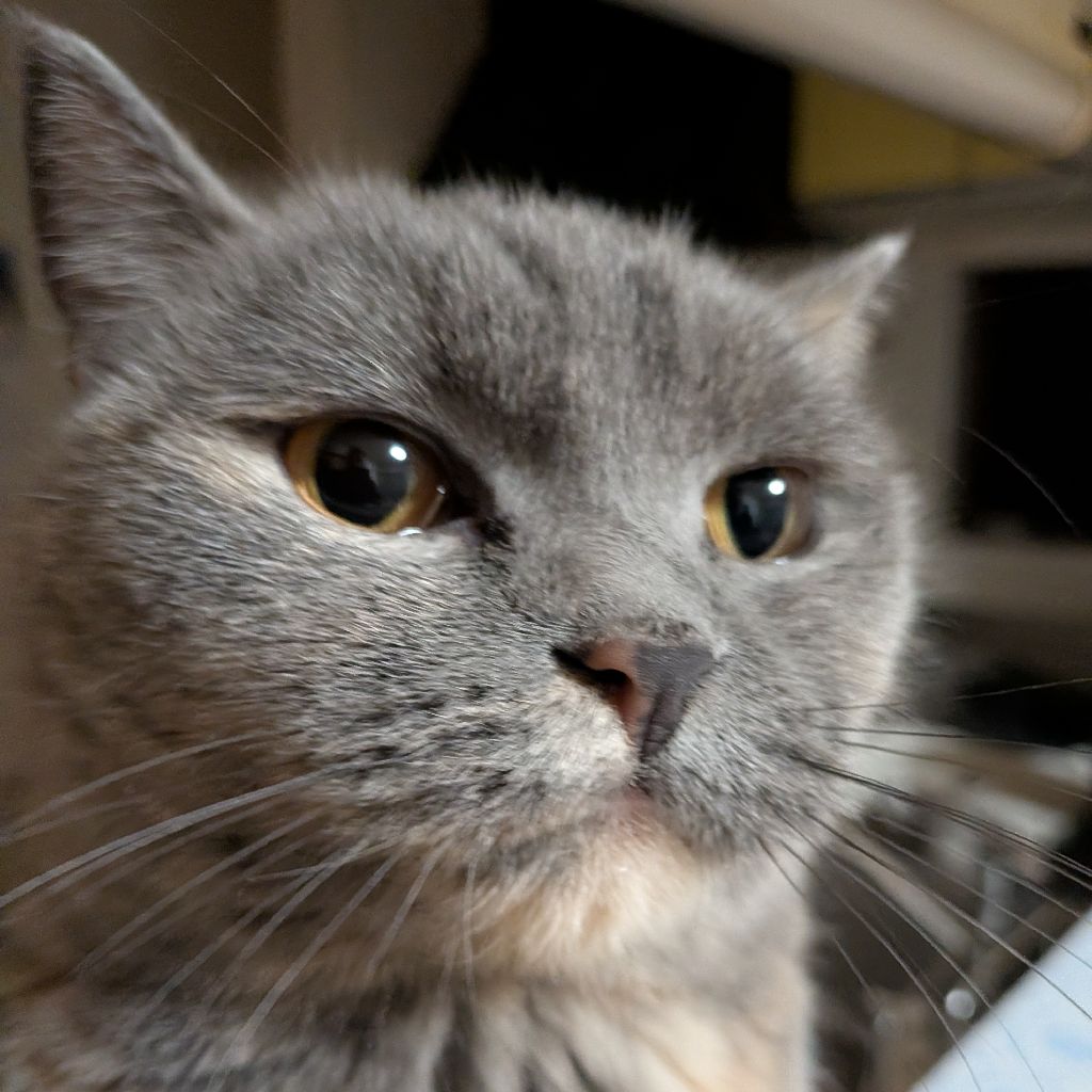 セルなゆず🐱 #4