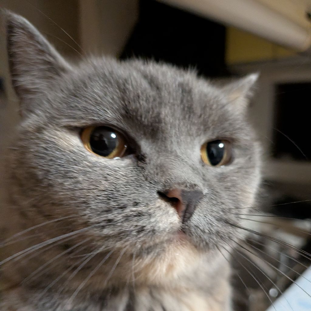 セルなゆず🐱 #5