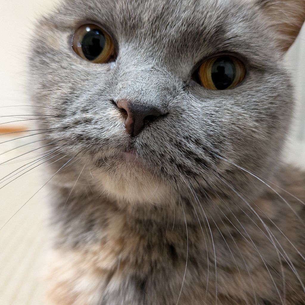 渡部篤郎なゆず🐱